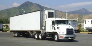 WhatsApp Image 2026-04-02 at 3.46.33 PM